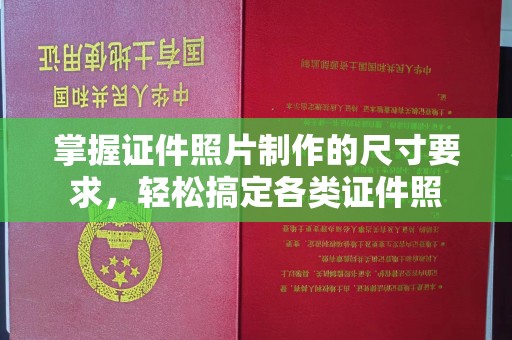 板芙掌握证件照片制作的尺寸要求，轻松搞定各类证件照